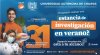 Convocatoria Verano Delf&iacute;n 2026